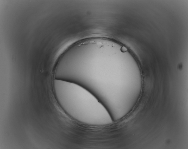 X0000093511415200710121054