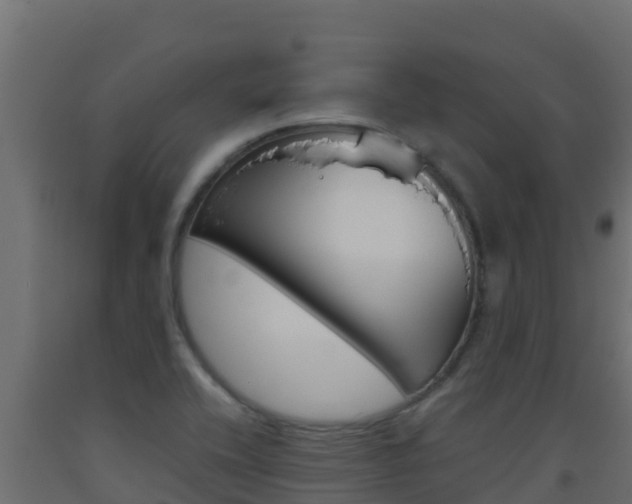 X0000093511416200710121054