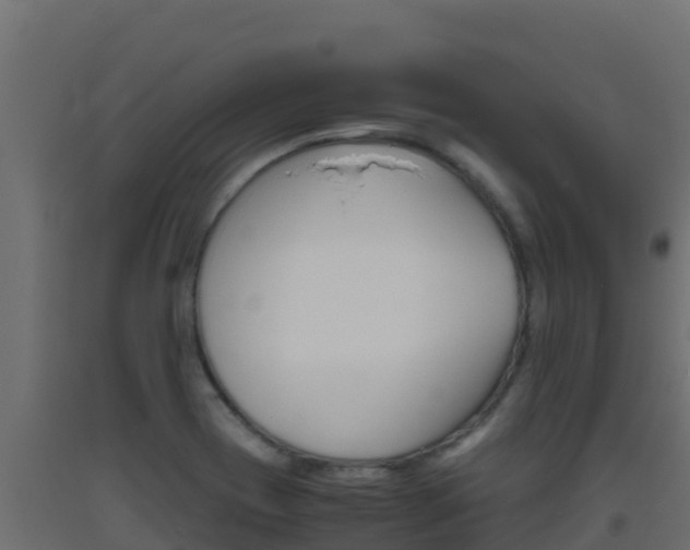 X0000093511417200710121054