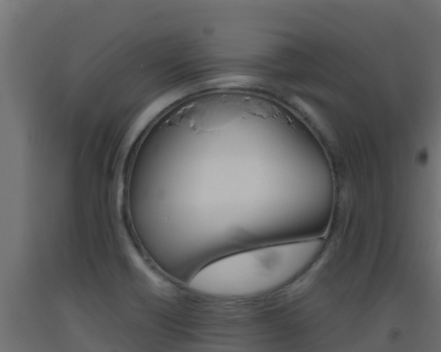 X0000093511418200710121054