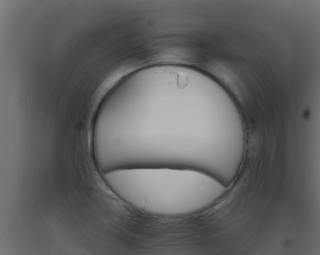 X0000093511419200710121054
