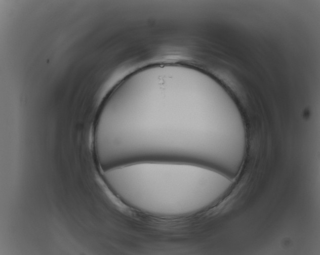 X0000093511420200710121054