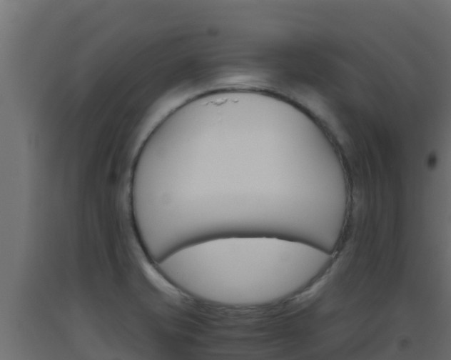 X0000093511421200710121054