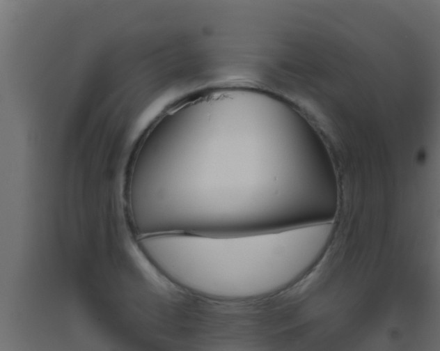 X0000093511422200710121054