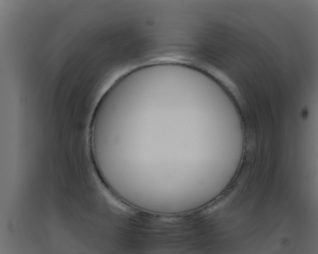 X0000093511423200710121054