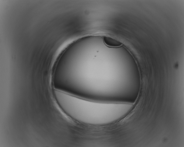 X0000093511424200710121054