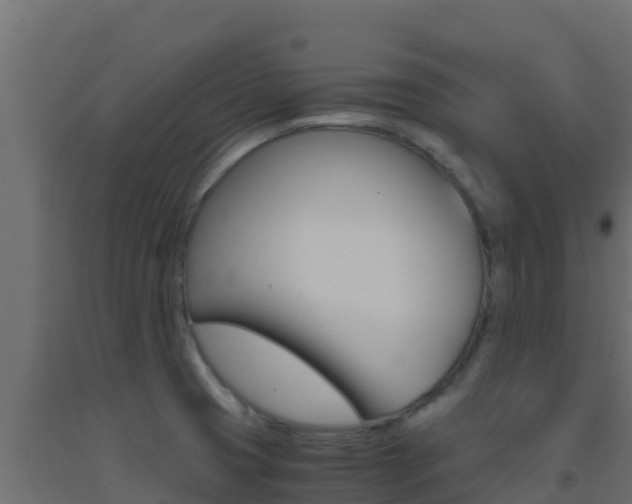 X0000093511425200710121054