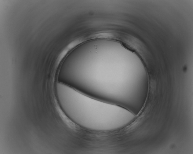 X0000093511426200710121054