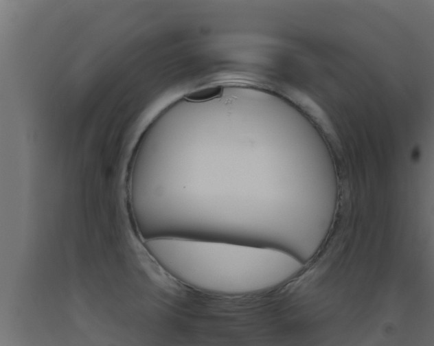 X0000093511427200710121054