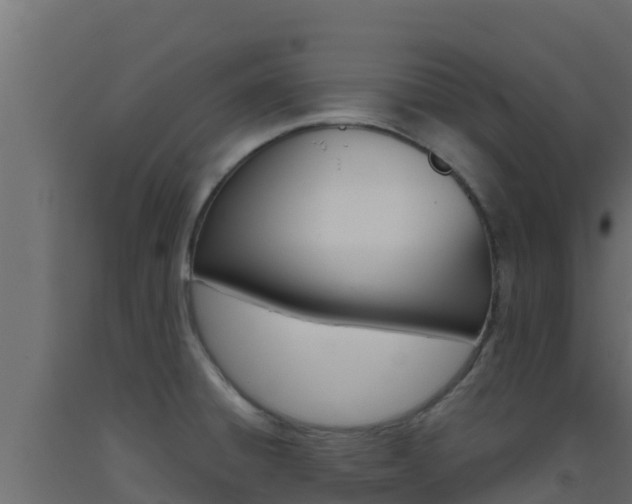 X0000093511428200710121054