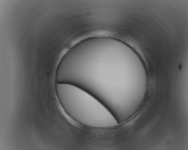 X0000093511429200710121054