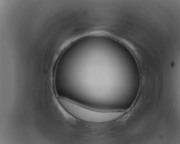 X0000093511430200710121054