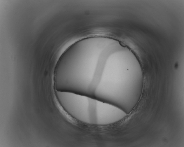 X0000093511431200710121054