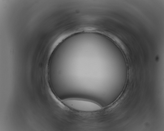 X0000093511432200710121054