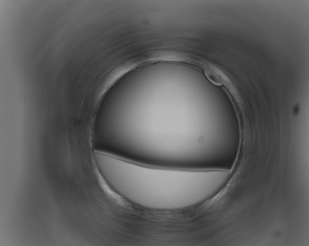 X0000093511433200710121054