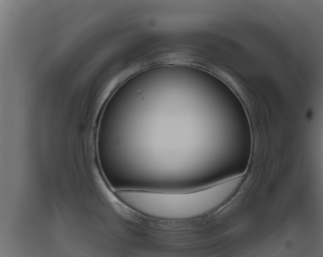 X0000093511434200710121054