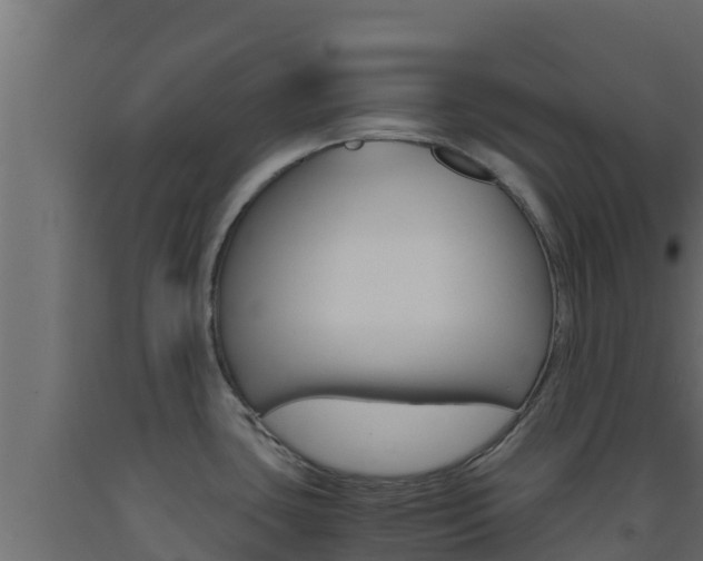 X0000093511435200710121054
