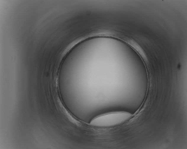 X0000093511436200710121054