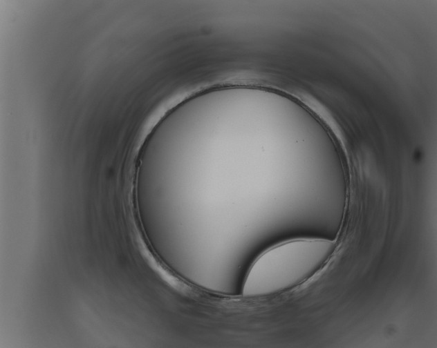 X0000093511437200710121054