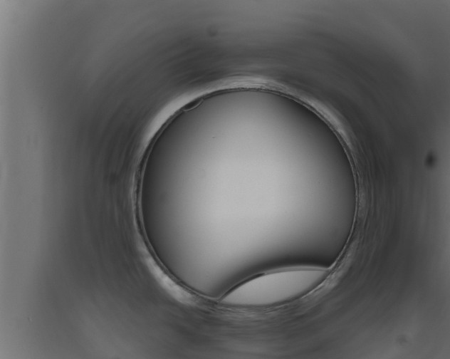 X0000093511438200710121054