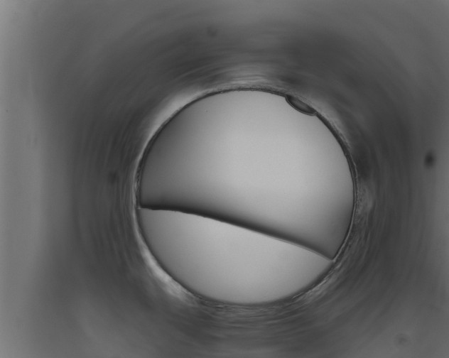 X0000093511439200710121054
