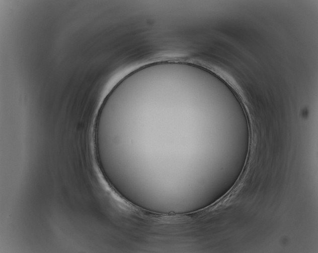 X0000093511440200710121054