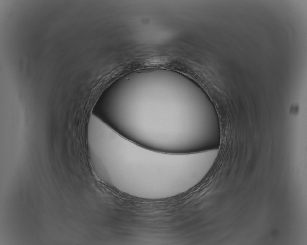 X0000093511441200710121054