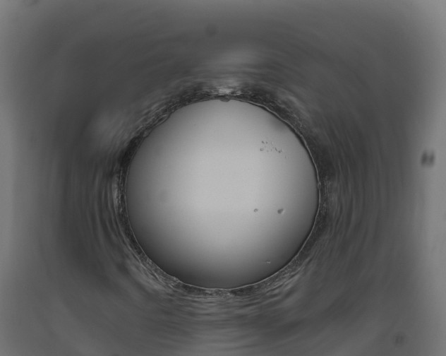 X0000093511442200710121054