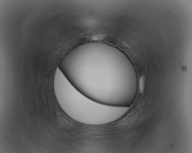 X0000093511443200710121054