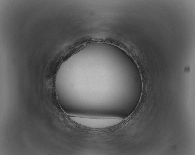 X0000093511445200710121054