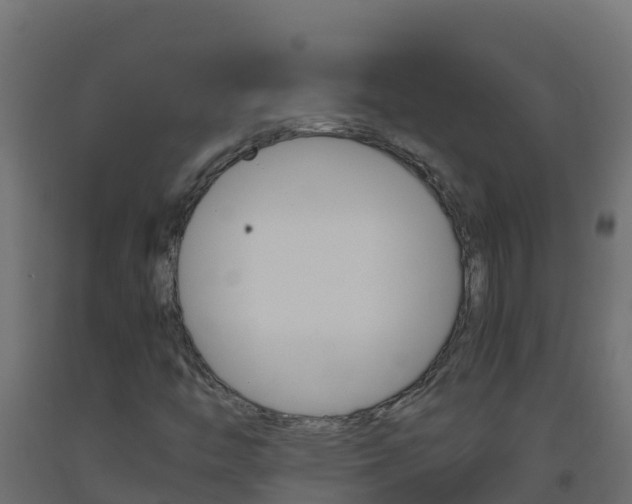 X0000093511446200710121054