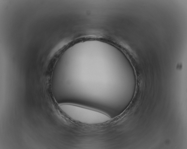 X0000093511448200710121054