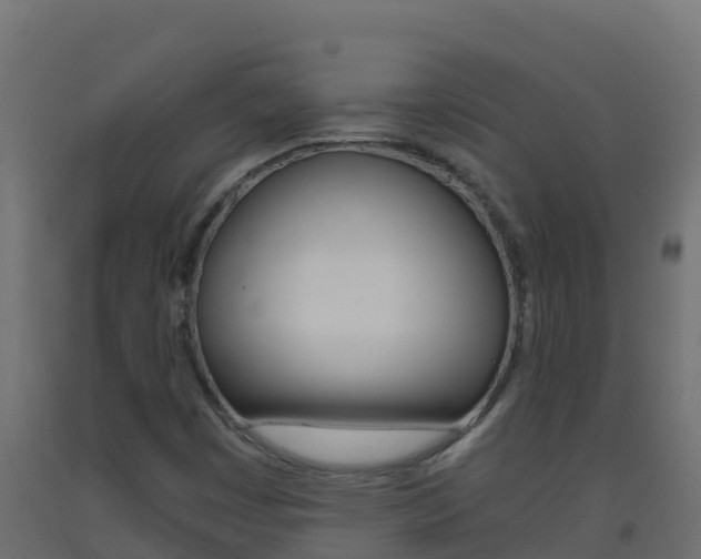 X0000093511449200710121054