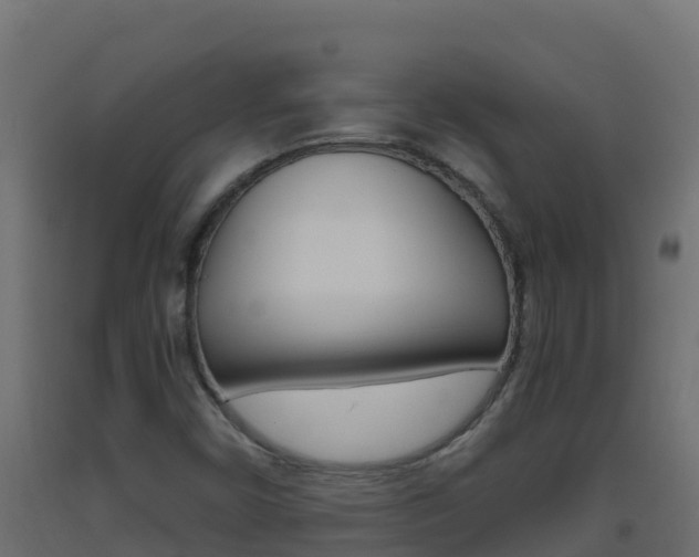 X0000093511450200710121054
