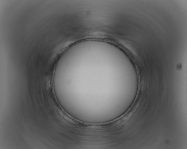 X0000093511451200710121053