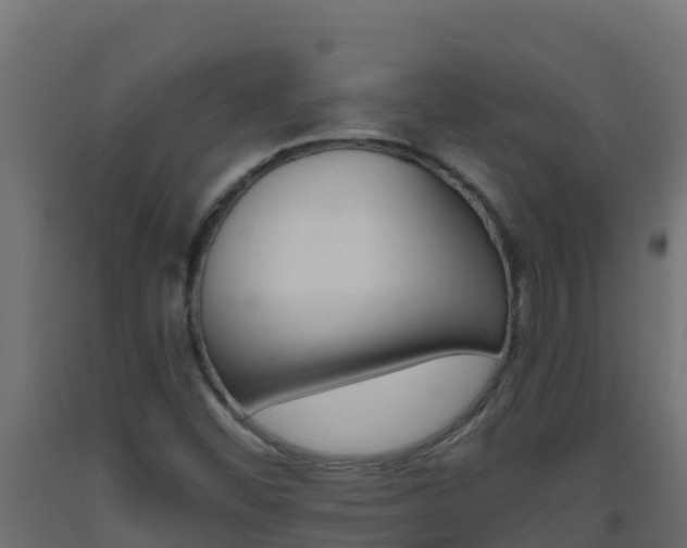 X0000093511452200710121053