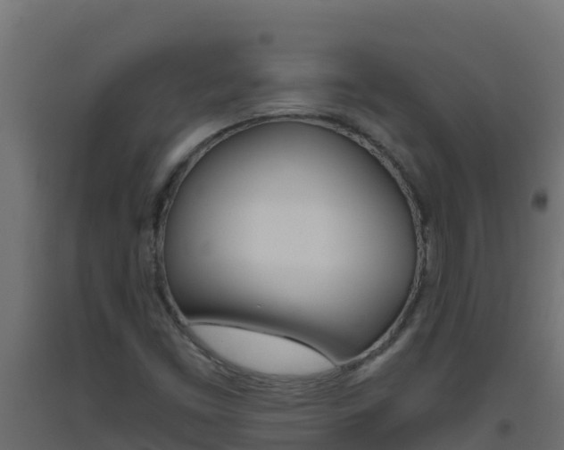 X0000093511453200710121053