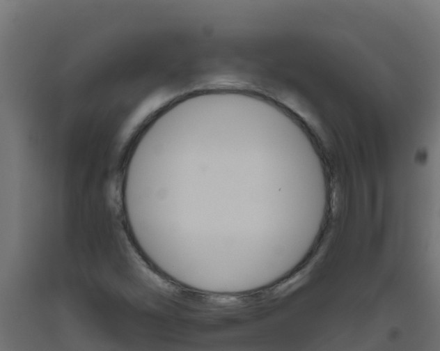 X0000093511454200710121053