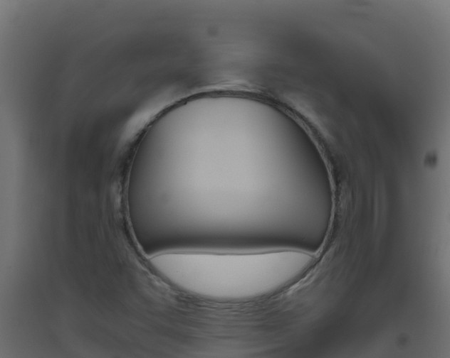 X0000093511455200710121053