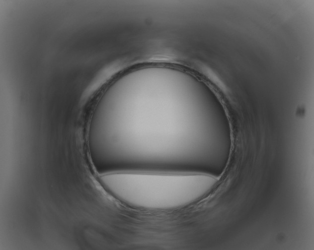 X0000093511456200710121053