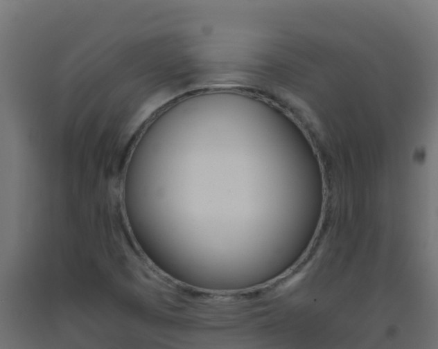 X0000093511457200710121053