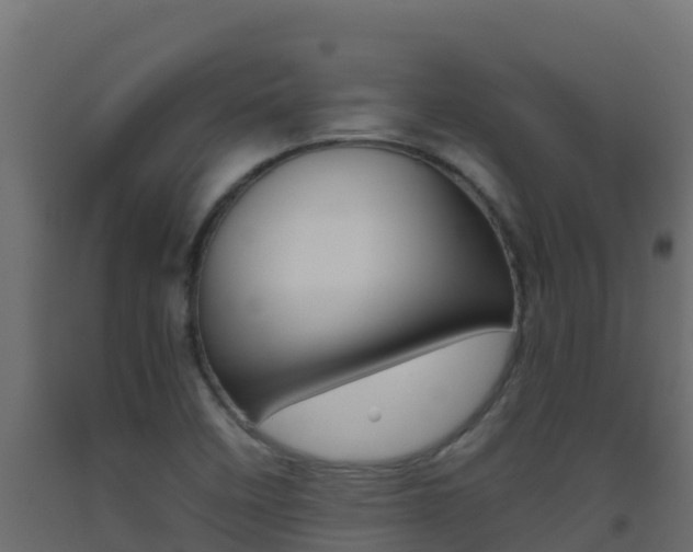 X0000093511458200710121053