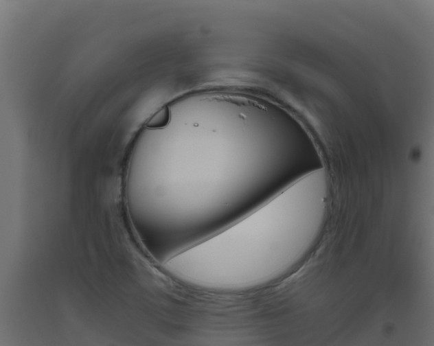 X0000093511459200710121053