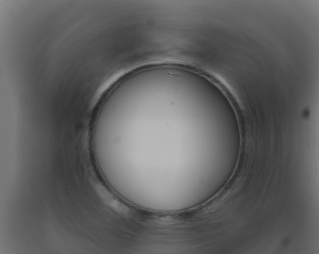 X0000093511460200710121053