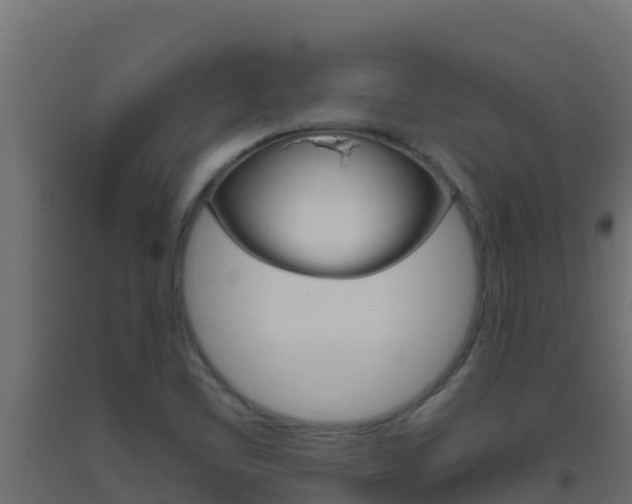 X0000093511461200710121053
