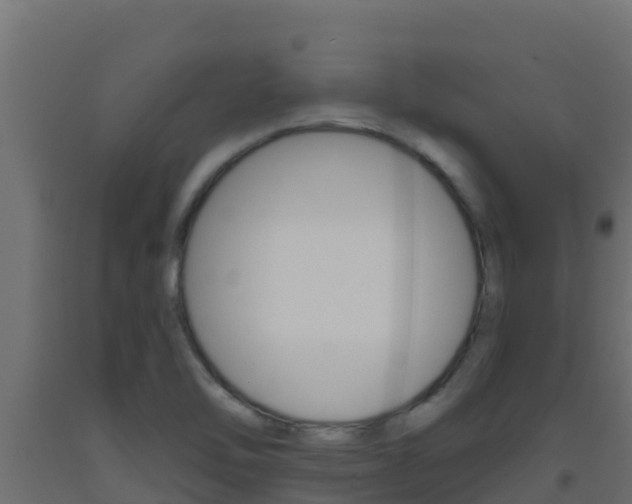 X0000093511462200710121053
