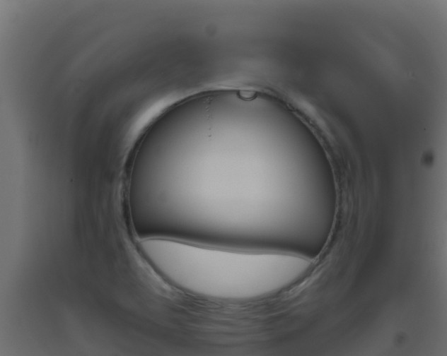 X0000093511463200710121053
