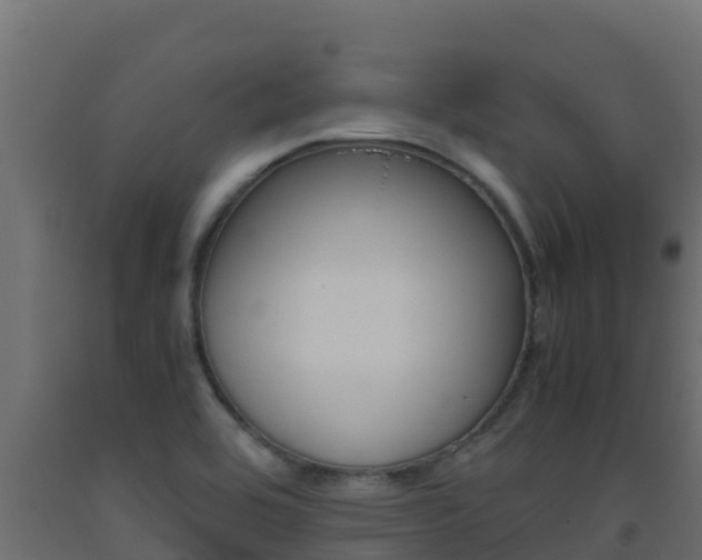 X0000093511464200710121053