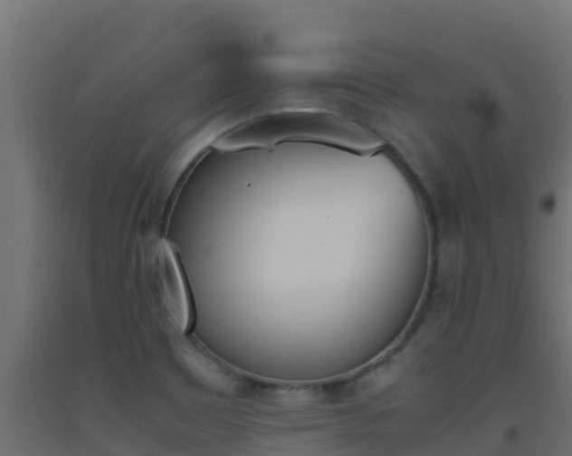X0000093511465200710121053