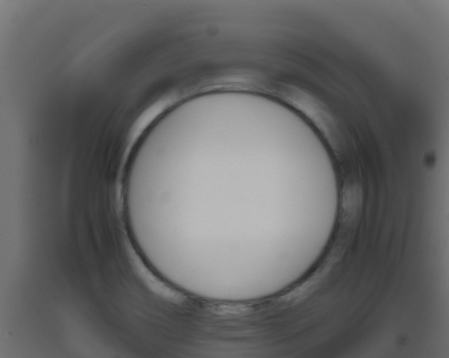 X0000093511466200710121053